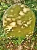 image number Catton Emma 414